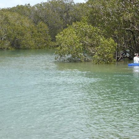 Changing Tides Bnb Paihia Eksteriør bilde