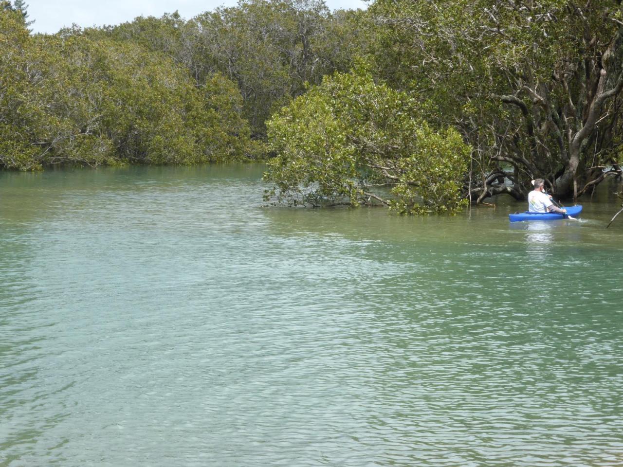 Changing Tides Bnb Paihia Eksteriør bilde